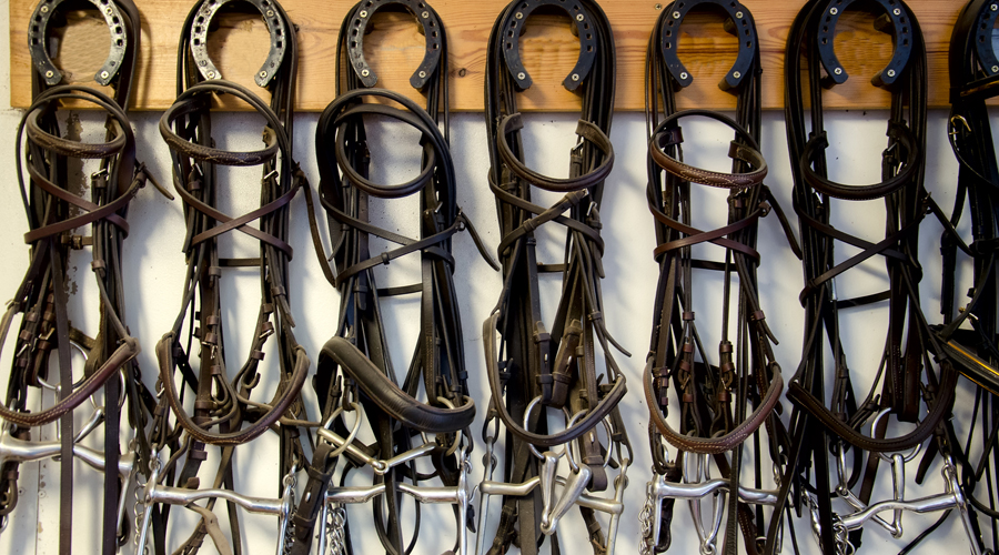 Come on in and see our range of tack, rugs, fly nets, exercise sheets, paddock and stable cleaning products and much more at our shop in Barford St Martin, near Wiltson, Salisbury